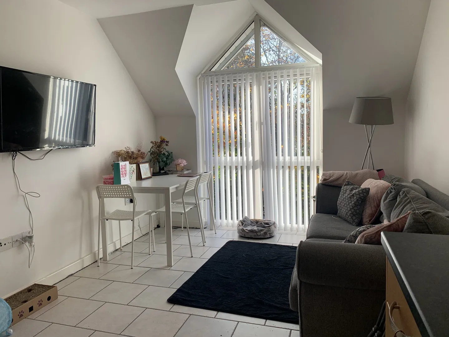 Modern Living Room with Large Windows